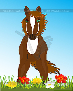 Beautiful sulfuric horse on glade with flower - vector image