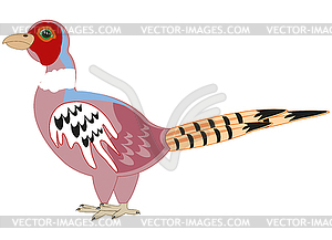 Bird pheasant is insulated - vector image