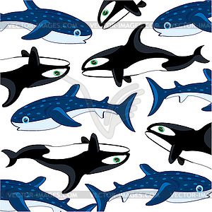 Decorative pattern of whale of white whale and whal - vector clip art