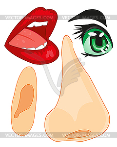 Parts of person of person nose,ear and lips and eye - vector image