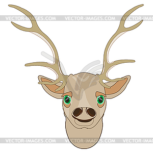 Portrait of deer with horn - vector clipart