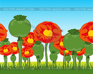 Year field with rising flower of plant poppy - vector image