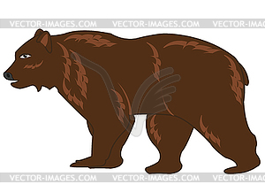 Wildlife brown bear - vector image