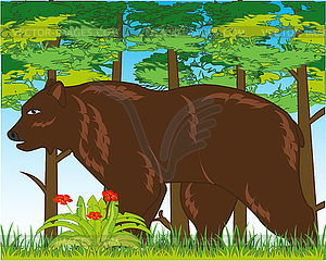 Wildlife brown bear in year wood daytime - vector image