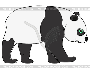 Panda bear is insulated - vector image