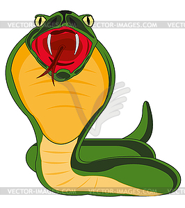 Snake cobra is insulated - vector clipart