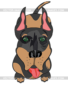 Dog of sort doberman types overhand - vector clipart