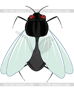 Insect fly is insulated - vector clipart