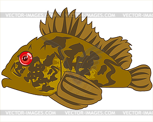 Fish sea ruff is insulated - vector image