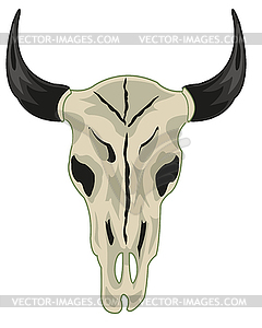 Череп животного коровы изолирован - изображение в векторном формате