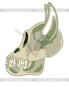 Skull unknown animal crock with horn cartoon - vector clipart