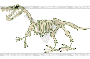 Skeleton of dinosaur is insulated - vector image