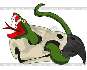 To reptiles snake in skull of bird - vector clipart