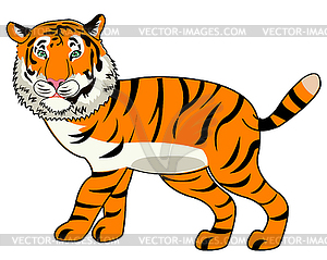 Wildlife tiger is insulated - vector clipart