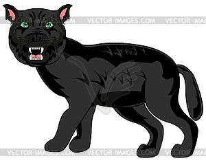 Wildlife blackenning panther - vector image