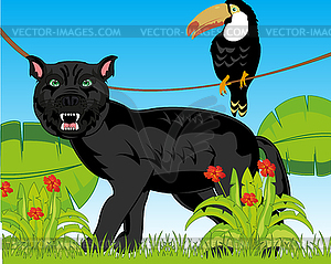 Jungle and wildlife blackenning panther on nature - vector image