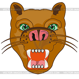 Portrait of wildlife puma - vector clip art