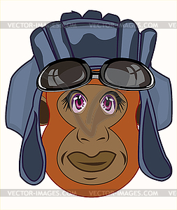 Portrait ape in send armorer cartoon - vector image