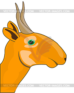 Wild steepe animal saiga portrait in profile - vector image