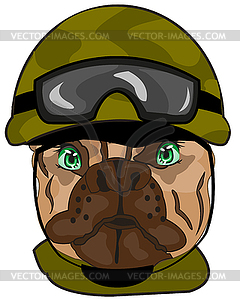 Dog bulldog in helmet military comic - vector image