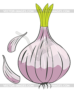 Лук овощной чеснок изолируют - векторный клипарт