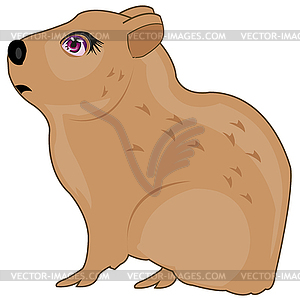 Cartoon of wildlife of rodent capybara - vector EPS clipart