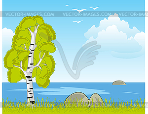 Coast big yard year daytime beautiful yard landscape - vector clipart