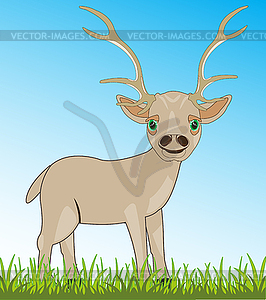 Cartoon of deer with horn on nature by summer - vector clip art