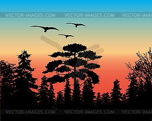 Beautiful landscape of wild nature at dawn - vector image