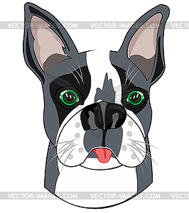 Dog terrier is insulated - vector clipart