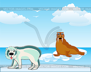 Arctic landscape with animal walrus and polar bear - color vector clipart