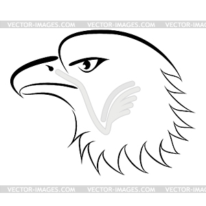 Linear Drawing Bald Eagle - vector image