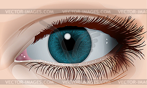 Female blue eye - vector clipart