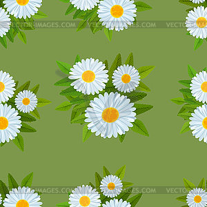 Daisies seamless pattern - vector image