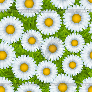 Daisies seamless pattern - vector clipart / vector image