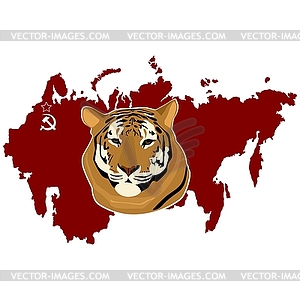 Ussurian tiger - vector image