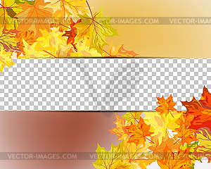 Autumn maple leaves - vector clipart