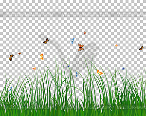 Summer meadow - vector image