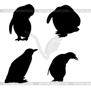 Penguin Silhouette Set - vector clipart