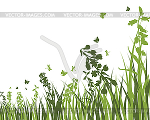 Green Grass Meadow - vector image