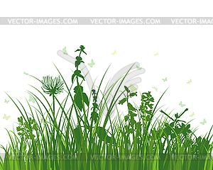 Green Grass Meadow - vector clipart