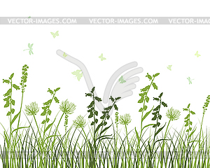 Green Grass Meadow - vector image