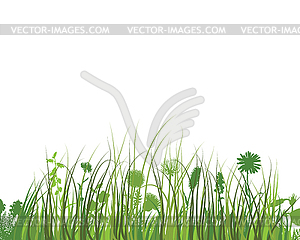 Green Grass Meadow - vector clip art