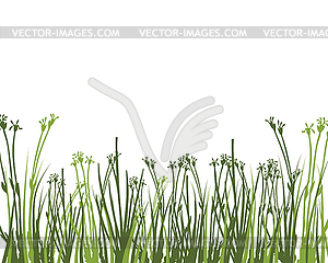 Green Grass Meadow - vector image