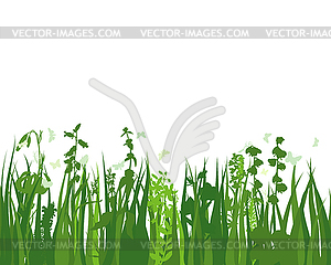 Green Grass Meadow - vector clipart