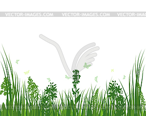 Green Grass Meadow - vector clipart