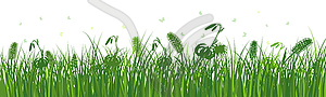 Green Grass Meadow - vector image