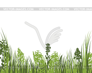 Green Grass Meadow - vector clipart