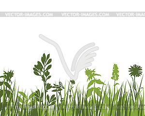 Green Grass Meadow - vector image