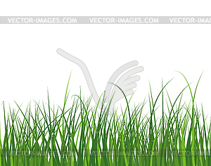 Green Grass Meadow - vector clipart